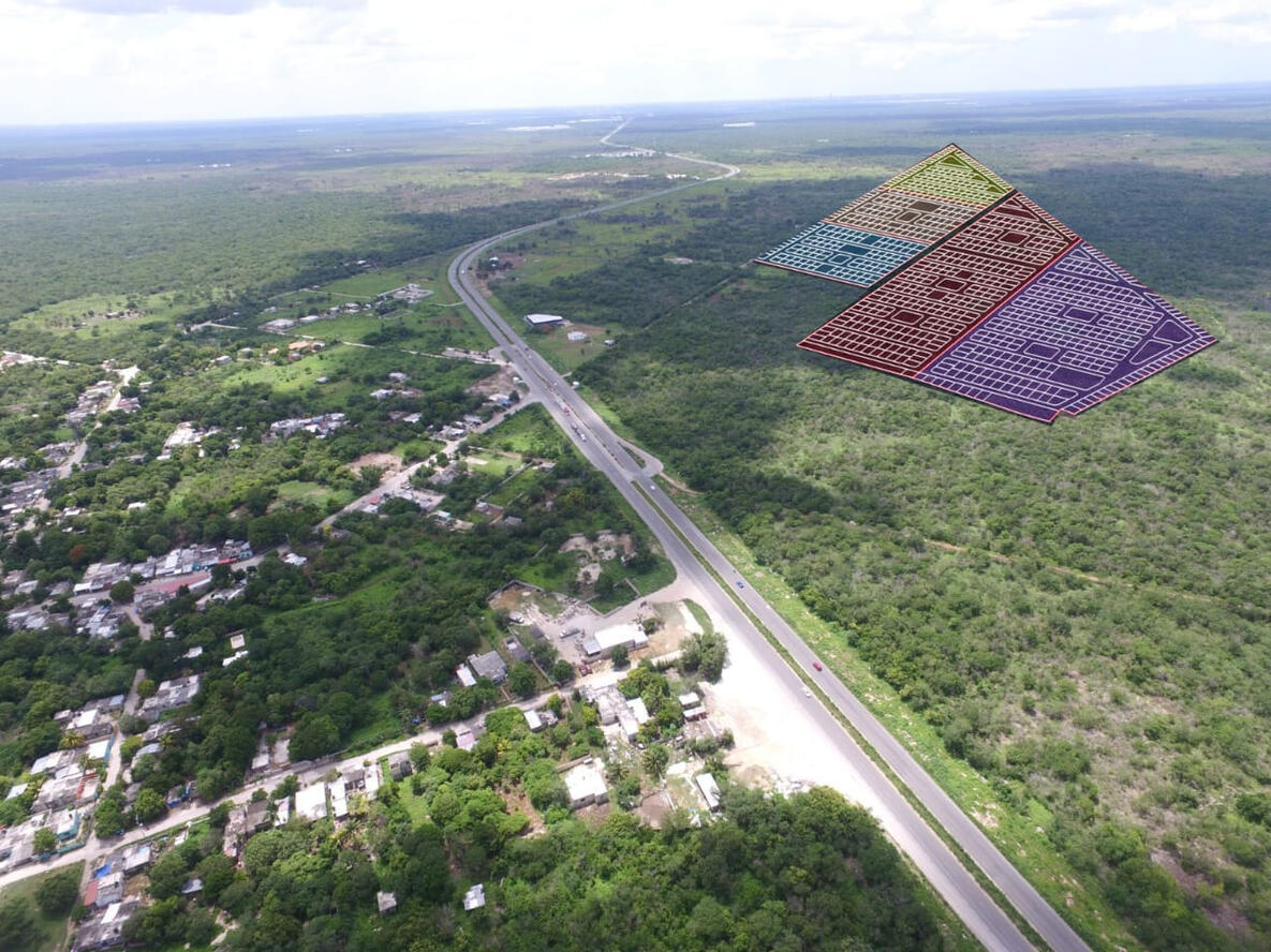 Show BBB Exposición BBB