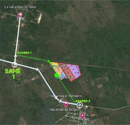 Show BBB Exposición BBB