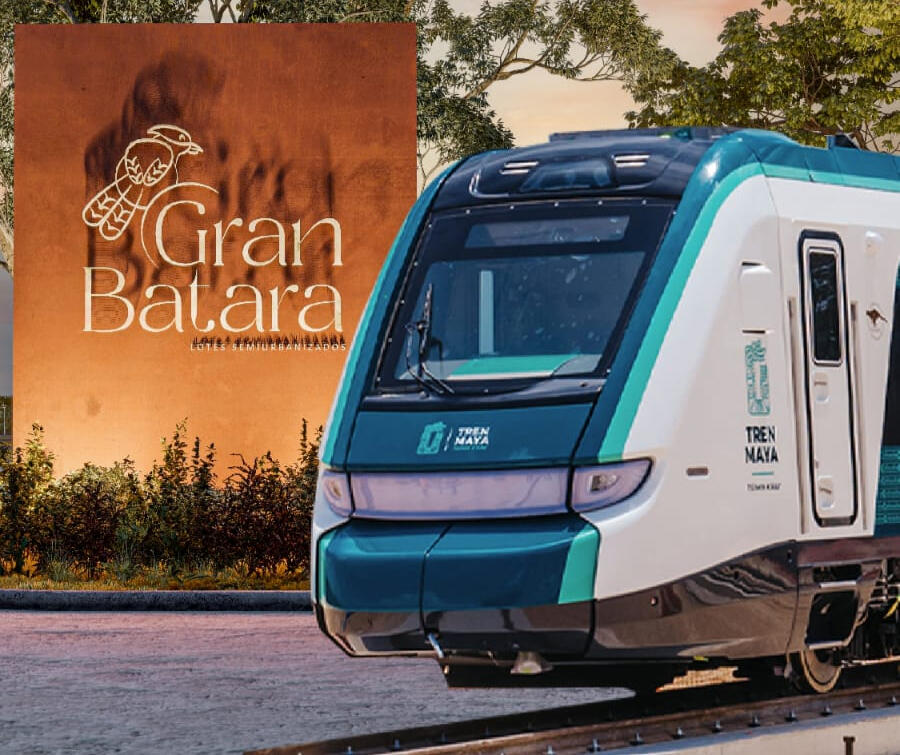 Show BBB Exposición BBB